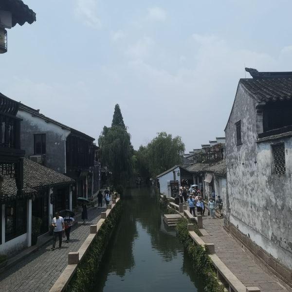 大丰区草庙镇：深化巡察整改 激发发展动能